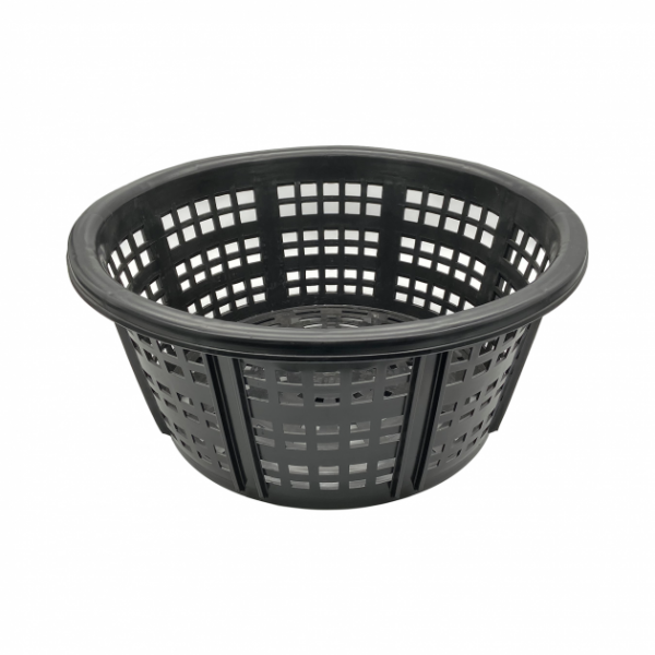 【Basket】A101