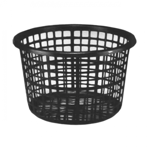 【Basket】E201